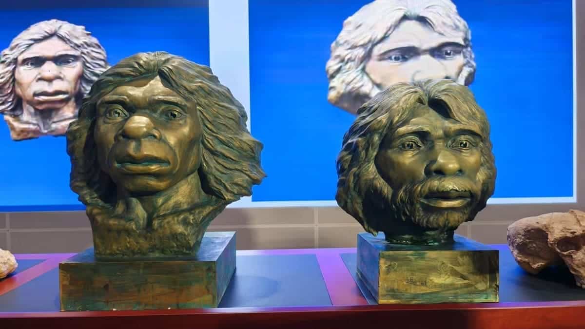 Ученые з КНР смогли восстановить лица гоминидов, живших 1 миллион лет назад