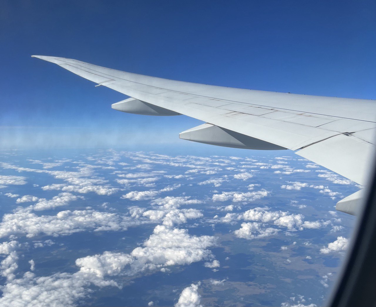 В Домодедово объявили тревогу из-за аварийной посадки самолета Air Arabia