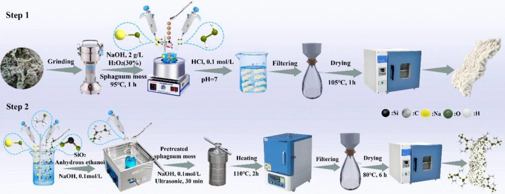 Китайские ученые превратили мох в губку, которая впитывает нефть