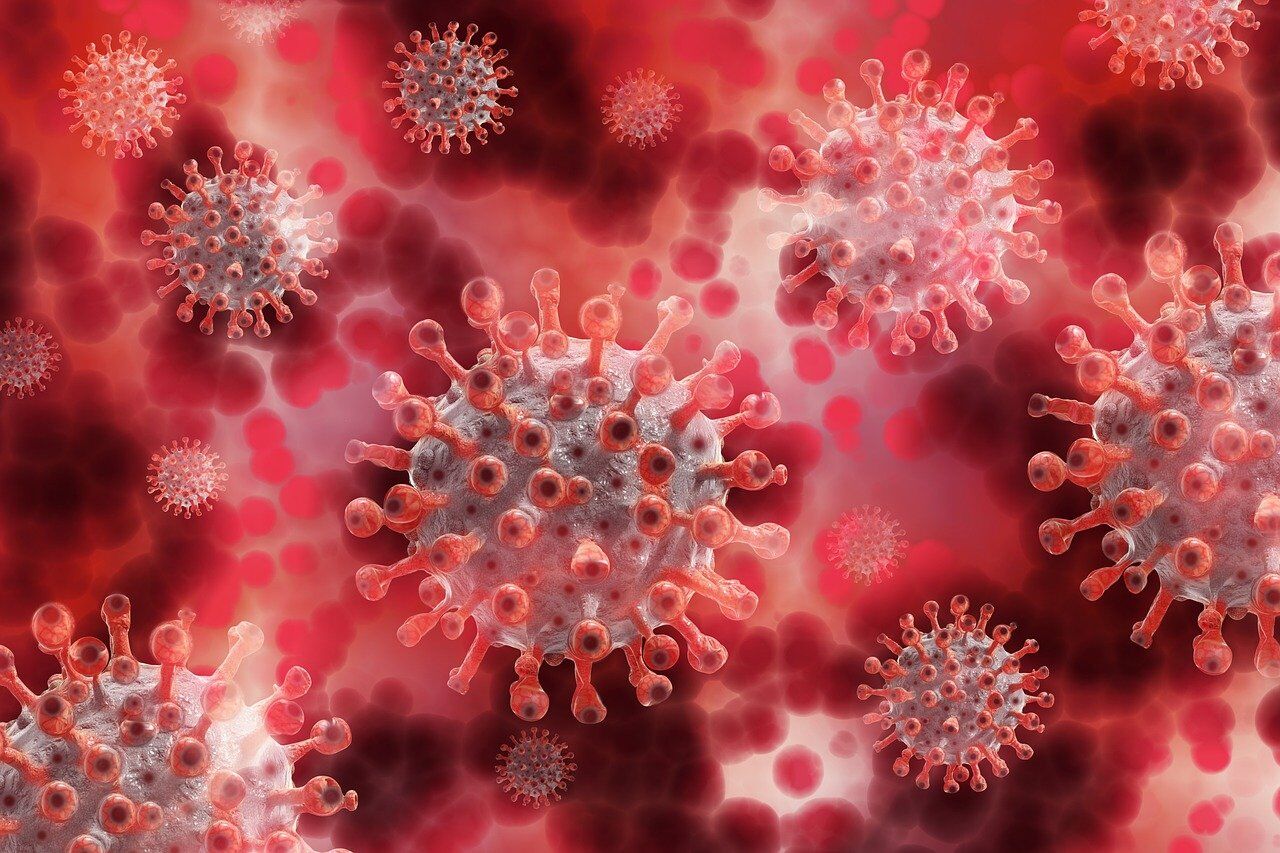 Вирус птичьего гриппа H5N1 может превратиться в новую пандемию Вирус птичьего гриппа H5N1 может превратиться в новую пандемию