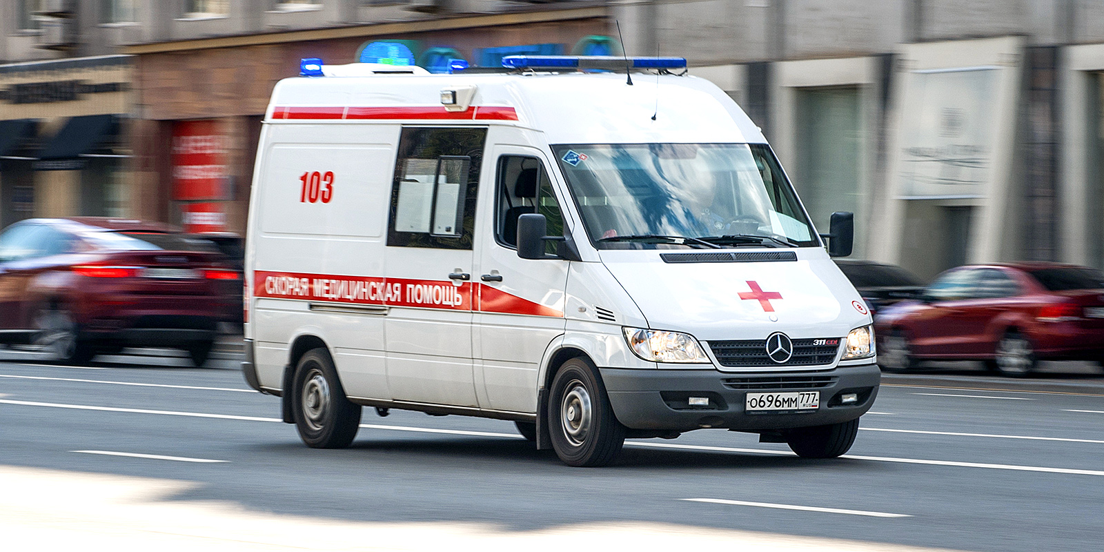 Во Владивостоке несколько человек отравились чемерицей Во Владивостоке несколько человек отравились чемерицей