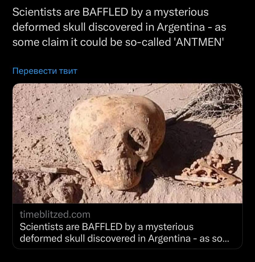 Древний череп «человека-муравья» нашли в Аргентине