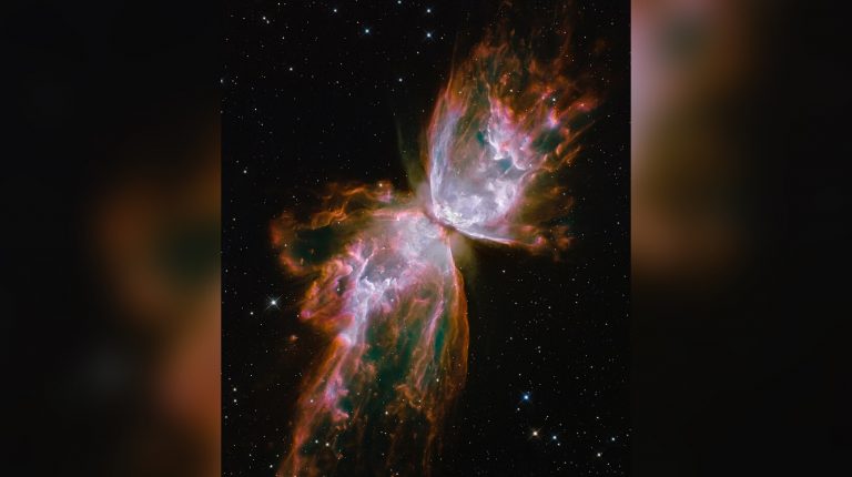 Телескоп «Уэбб» раскрыл тайны туманности Бабочка