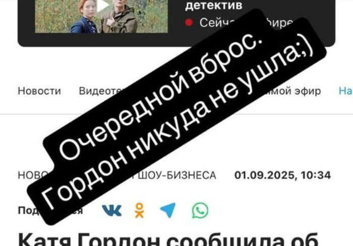 Катя Гордон прокомментировала новость об уходе из дела по Товстикам
